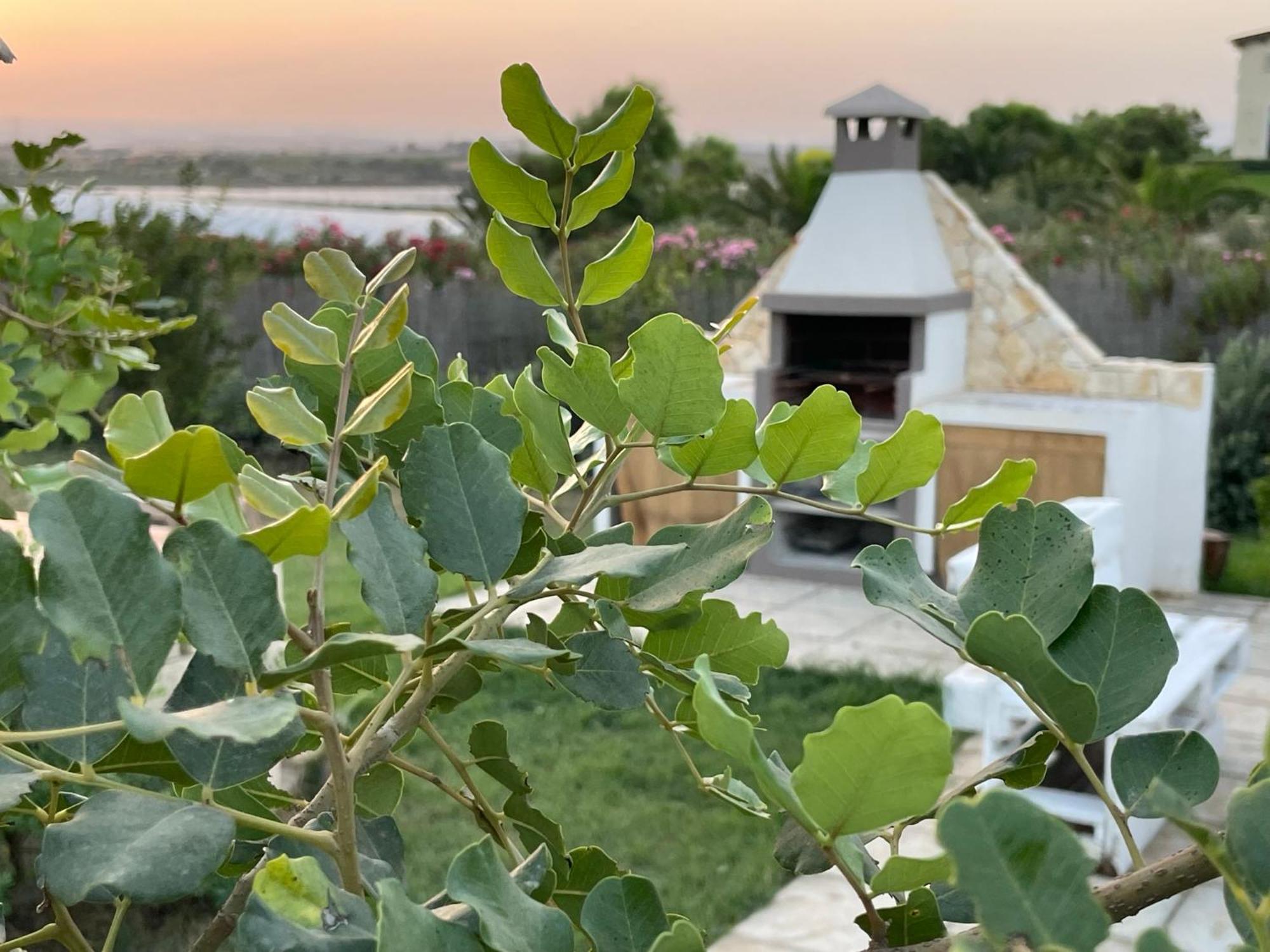 Villa Triona Marzamemi Con Piscina Exterior foto